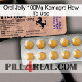 Oral Jelly 100Mg Kamagra How To Use 41